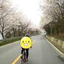 경춘선 자전거도로18 이미지