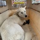 현산면 주민자치센터 이미지