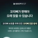 딥레스트(DEEPREST)