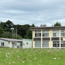 광천로274번길 | 광천 맛집 아리랑 칼국수 방문 솔직 후기와 광천 나들이 코스 추천