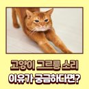 그르릉 이미지