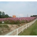 모우목장 이미지