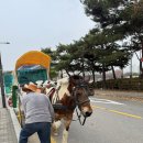 형형색색의바위들 | 일산아기랑실내: 아쿠아플라넷 일산점 연간회원권 뽕 뽑는 22개월 아기랑 방문후기