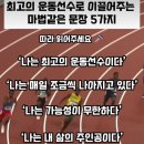 성주플렉스 이미지