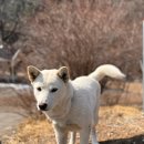 가평 베이스 캠프 펜션 이미지