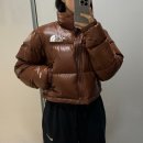 D00010 | NUPTSE 노스페이스 눕시 숏 자켓 다크 오크 XS 사이즈 착샷, 실측, 리뷰 NF0A5GGE6S2 Dark Oak 1996