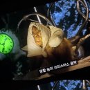 윤슬퍼블릭 이미지