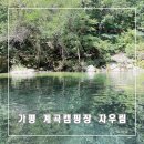 자우림캠핑장 | 계곡 캠핑장 자우림 캠핑장B5