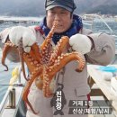 진선장 이미지