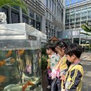 10월 2주-알록달록 가을 흔적 찾기, 색깔 project-가을 소풍＜국립농업박물관＞ 이미지