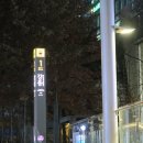 르네아트 | 강동역 네일 뷰티르네 12월 이달의아트 후기