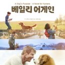 페티앙 북스