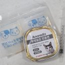 범 동물병원 | 고양이 눈밑 털 빠짐으로 동물병원 다녀옴