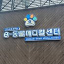e-동물 메디컬 센터 이미지