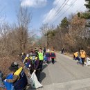 새봄이야 이미지