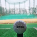 이마트24 검단월드골프점 | [검단골프연습장] 친구 따라 가본 김포·검단 야외스크린 명소! 곧 시작될 소비쿠폰까지 알차게 정리해요