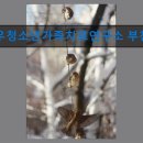 나우청소년.가족치료연구소