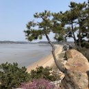 클리프박 이미지