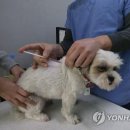 선 동물병원 이미지