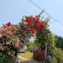 백2리 마을회관 이미지