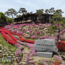 용봉산 자연휴양림 백제뉴스