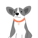 아인동물의료센터 이미지