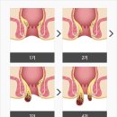 서울진외과의원 이미지