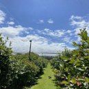 창렬농장 이미지