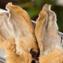 디저트댕 이미지