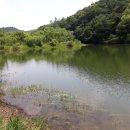 지동제 이미지