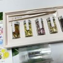 꽃마시다