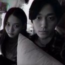 플라라 이미지