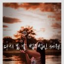 법무법인세원 이미지
