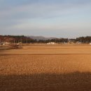 대전해수욕장 네이버블로그