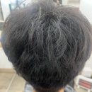 버드내노인복지관 | 수원남자머리 잘하는 세류동미용실 지헤어