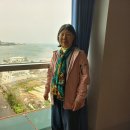 울산 대왕암공원 이미지