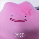 라니