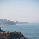 [여수 여행] 볼거많고 먹을거많은 여수 - 광양 매화마을 여행