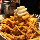 소이네 닭장 이미지