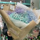 퍼플민트남양주