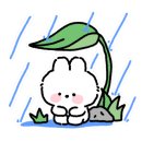 남문칼국수 이미지