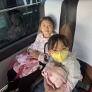 광복현태권도장 네이버블로그