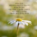 도원지기 이미지