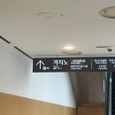 강원도 정선 하이원 리조트 강원랜드 후기, 임산부 입장 가능