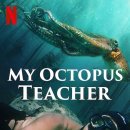 [영화감상] 나의 문어 선생님 My Octopus Teacher (2020) 이미지