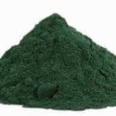 푸드위드 이미지