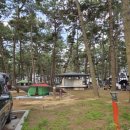 몽산포자동차야영장 이미지