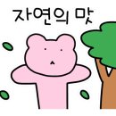 채선당 병점역점 이미지