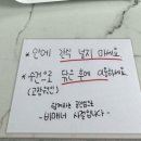 멍브라더 애견카페 | 인천애견수영장 연수구애견카페 솔멍 내돈내산 솔직후기