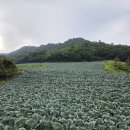예수원 | 태백 덕항산, 예수원 원점 - 100대 명산(12-1)
